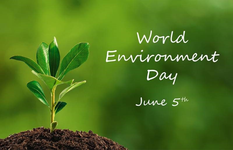 Image result for On June 5, the World Environment protection