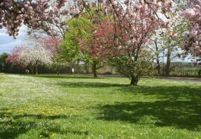 Көктем: табиғат пен адам болмысының үндестігі