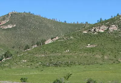 Қазығұрт, Жауқашқан маңындағы Тоқсан тоғыз тоқты