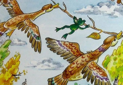 Бақаның көшуі